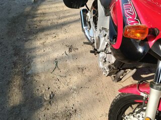 2000 Yamaha TDM850, красный, 300000 рублей, вид 4