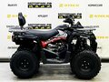 2025 Bison ATV200, чёрный - вид 7