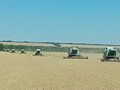 1998 Claas MEGA, 2950000 рублей - вид 2
