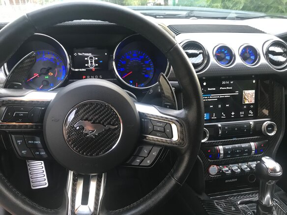 2016 Ford Mustang VI, зелёный - вид 4