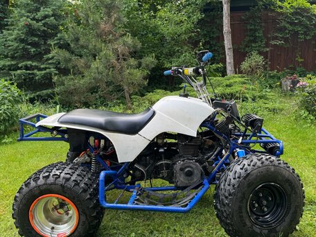 2008 Yamaha Grizzly 125, синий, 300000 рублей, вид 3