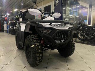 2024 Bashan Explorer 300, белый, 359000 рублей, вид 1