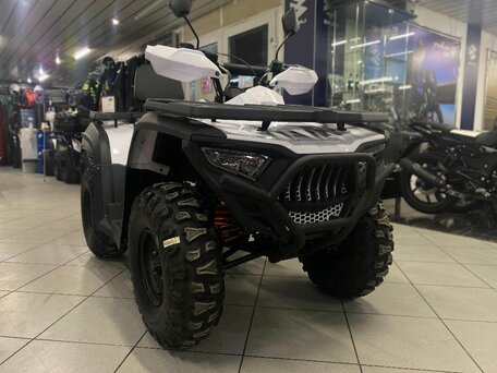 2024 Bashan Explorer 300, белый, 359000 рублей, вид 1