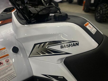 2024 Bashan Explorer 300, белый, 359000 рублей, вид 5