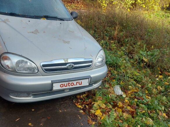 2009 ЗАЗ Chance, серый, 50000 рублей