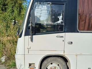2011 ПАЗ 3204, белый, 1200000 рублей, вид 3