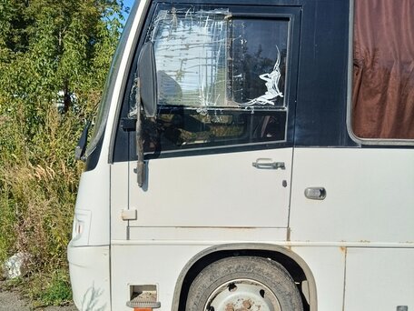 2011 ПАЗ 3204, белый, 1200000 рублей, вид 3