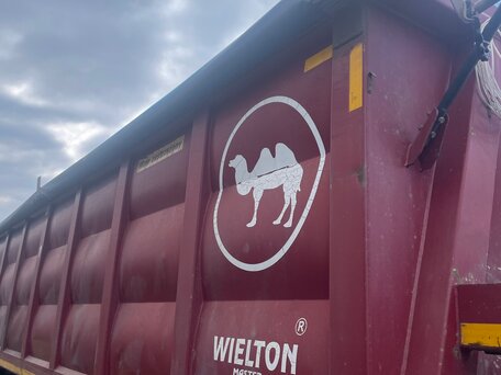2011 Wielton NW, красный, 2300000 рублей, вид 1