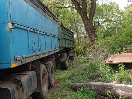 1990 КамАЗ 55102, серый, 890000 рублей, вид 4