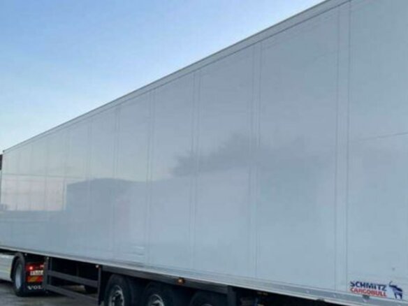 2017 Schmitz Cargobull SKO, белый, 5999999 рублей - вид 22