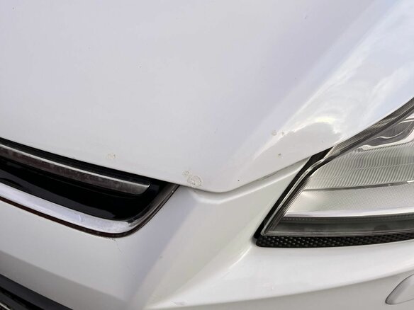 2015 Ford Kuga II, белый - вид 8