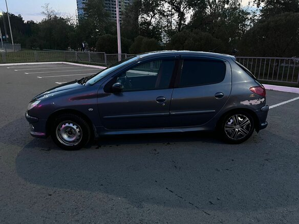 2006 Peugeot 206, серый, 290000 рублей - вид 5