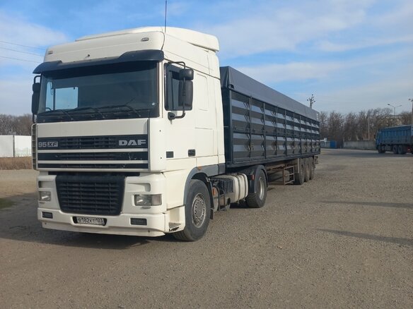 2000 DAF XF, белый, 3800000 рублей