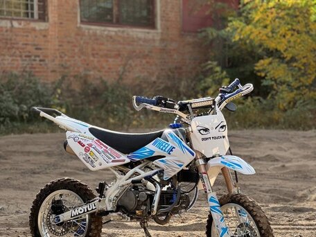 2015 Racer Pitbike 125/160, белый, 90000 рублей, вид 1