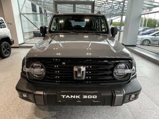 2026 Tank 300 I, серый, 4899000 рублей, вид 3