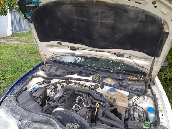 1998 Volkswagen Passat B5, чёрный - вид 12