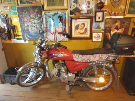 2009 Futong FT100, красный, 65000 рублей, вид 1
