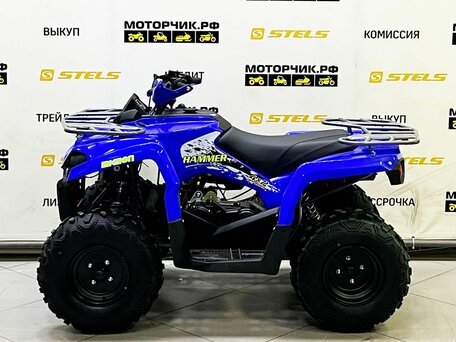 2025 Bison ATV200, синий, 219000 рублей, вид 2