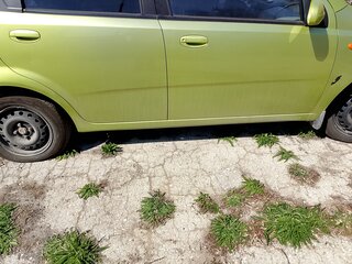 2005 Chevrolet Aveo I, зелёный, 280000 рублей, вид 5