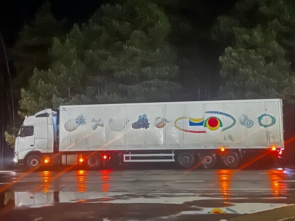 1999 Schmitz Cargobull SKO, белый, 900000 рублей - вид 2