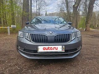 2019 Skoda Octavia III (A7) Рестайлинг, серый, 1900000 рублей, вид 1