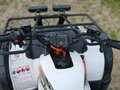 2016 Kayo AU150, белый, 60000 рублей - вид 5