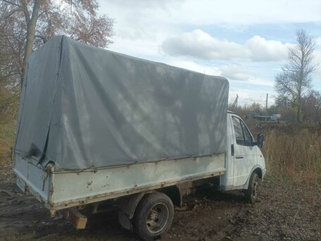 2002 ГАЗ ГАЗель (3302), белый, 280000 рублей, вид 4