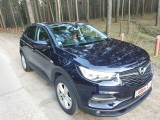 2018 Opel Grandland I (X), синий, 1450000 рублей, вид 2