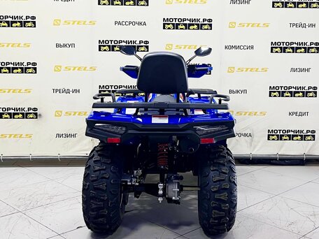 2025 Bashan Explorer 300, синий, 299000 рублей, вид 4