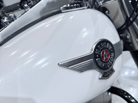 2011 Harley-Davidson Fat Boy, белый, 1399000 рублей - вид 23
