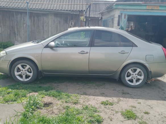 2004 Nissan Primera III (P12), зелёный - вид 3