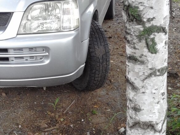 1999 Honda Stepwgn I, серый, 689000 рублей - вид 5