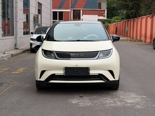 2023 BYD Dolphin 44.9 kWh I, белый, 1550000 рублей, вид 2