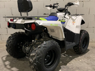 2021 Motoland ATV 200 Shark, белый, 236800 рублей, вид 5