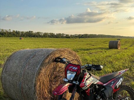 2024 Motoland XR250, красный, 110000 рублей, вид 1