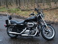 2017 Harley-Davidson Sportster 1200, чёрный, 845000 рублей - вид 4