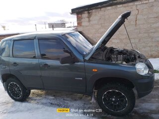 2010 Chevrolet Niva I Рестайлинг, серый, 380000 рублей, вид 1