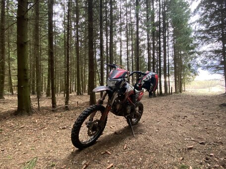 2013 Irbis TTR 125, красный, 55000 рублей, вид 5