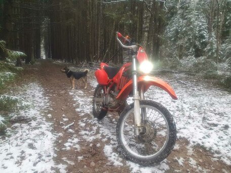 1998 Kawasaki KLX 250, красный, 210000 рублей, вид 4