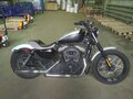 2008 Harley-Davidson Sportster 1200, серебристый - вид 1