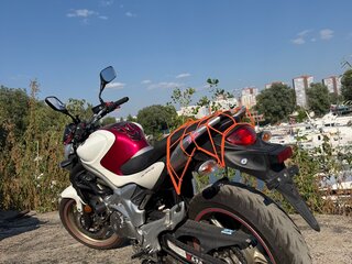 2009 Suzuki SFV 650 Gladius, красный, 350000 рублей, вид 5