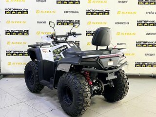 2025 Bashan Explorer 300, белый, 339000 рублей, вид 3