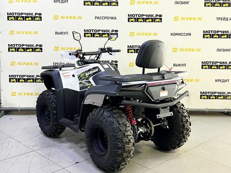 2025 Bashan Explorer 300, белый, 339000 рублей, вид 3