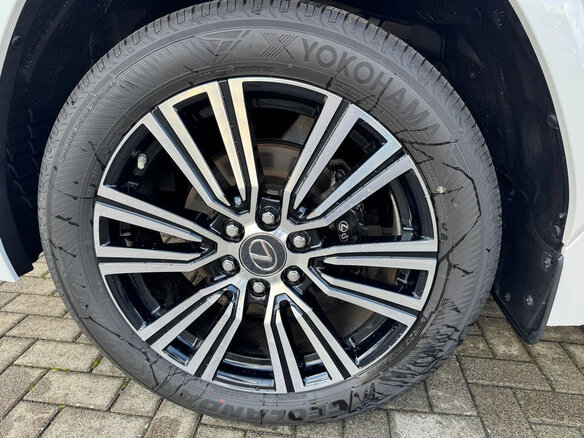 2025 Lexus LX 500d IV, белый, 17500000 рублей - вид 13