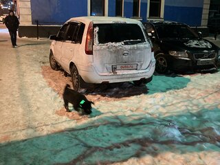 2010 Ford Fusion I Рестайлинг, белый, 340000 рублей, вид 4