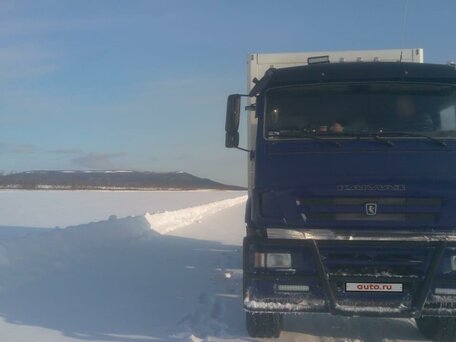 2009 КамАЗ 43118, синий, 6500000 рублей, вид 2
