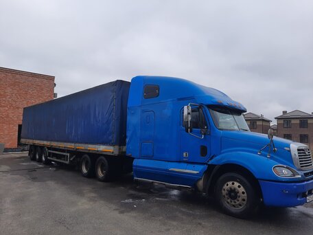 2003 Freightliner Columbia, синий, 1300000 рублей, вид 3