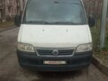 2002 Fiat Professional Ducato, белый, 550000 рублей
