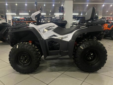 2024 Bashan Explorer 300, белый, 359000 рублей, вид 4