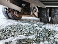 2000 Mercedes-Benz Actros, красный, 2000000 рублей - вид 11